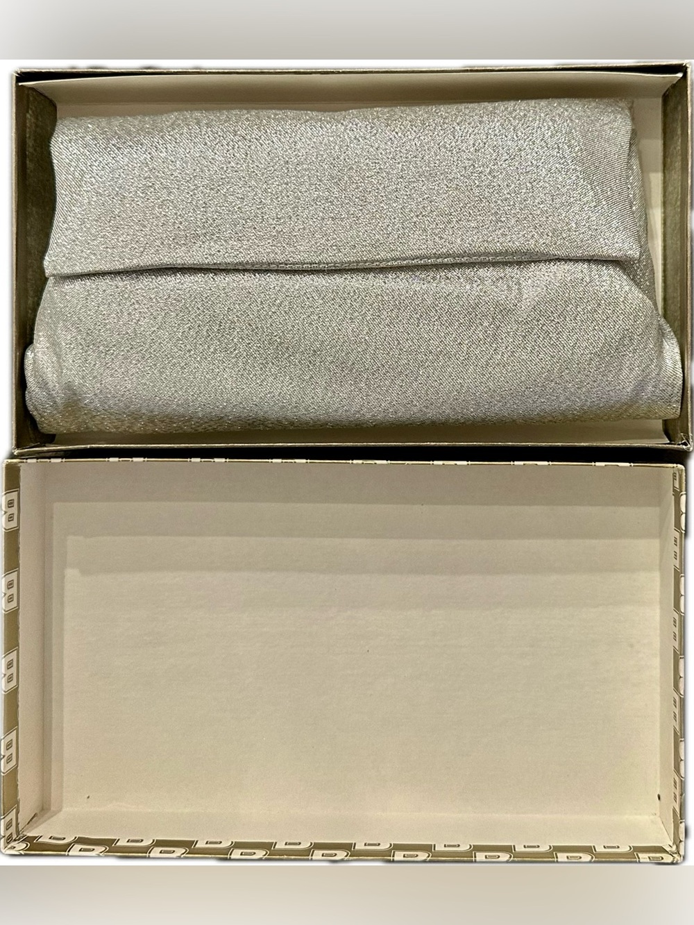 Vintage 1960s Shimmery Silver Clutch- Lady Buxton, New in Box